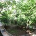 Rahova, 3 camere decomandat, renovat, centrala proprie